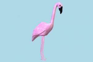 Flamingo Flamingo