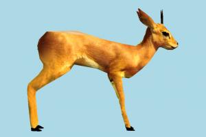 Deer deer, gazelle, elk, reindeer, animal, animals, wild, nature, cartoon