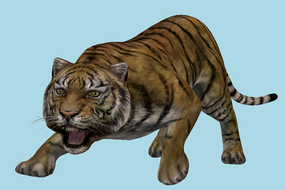 Bengal Tiger 3d model