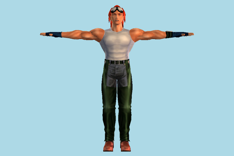 Tekken Hworang Tag Tournament 3d model