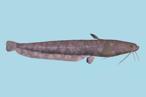 Fish preview