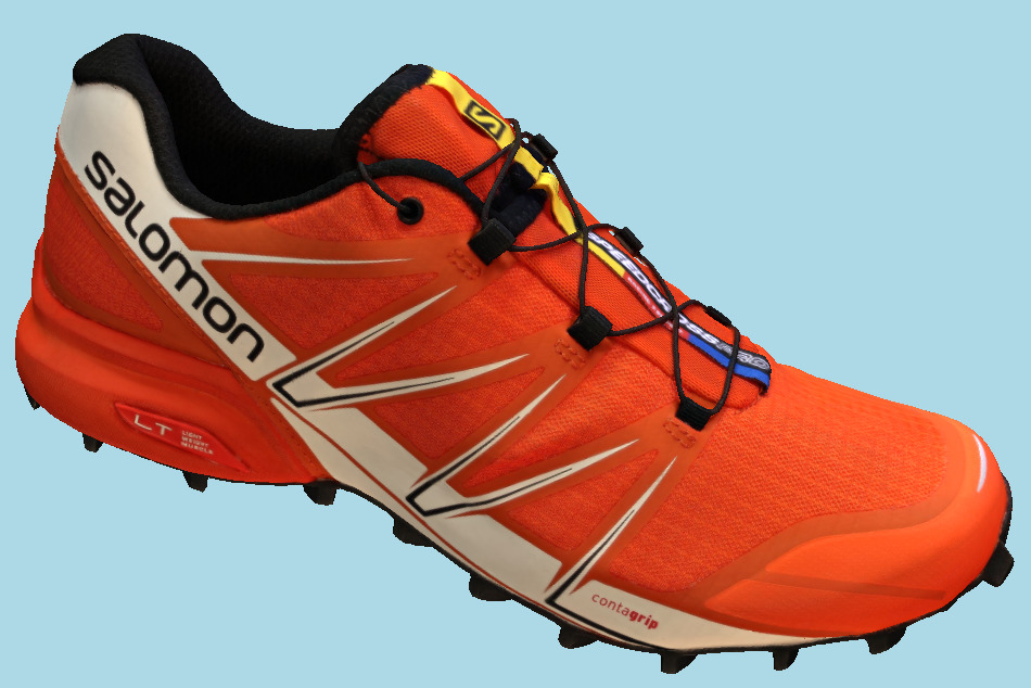 Salomon Shoe 3d model