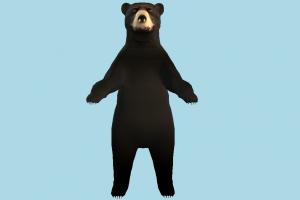 Bear bear