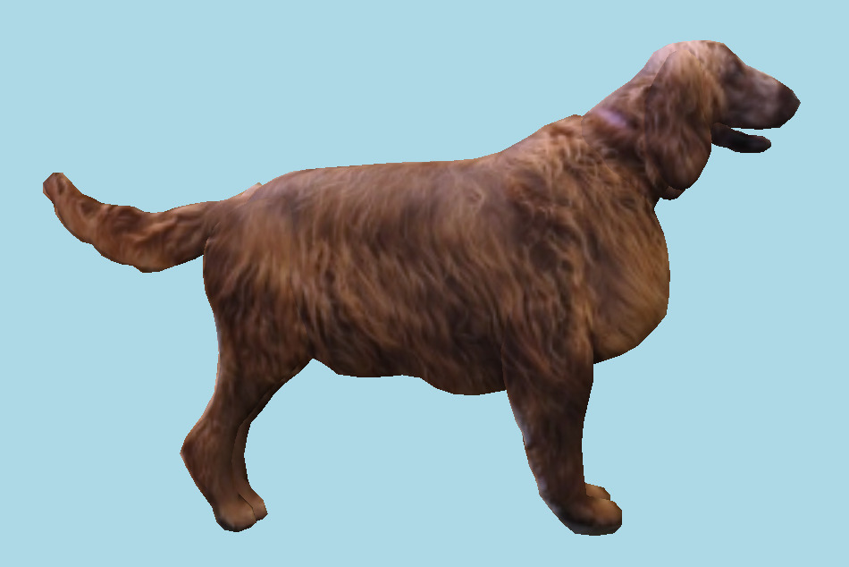 Rumi the Irish Setter Dog 3d model
