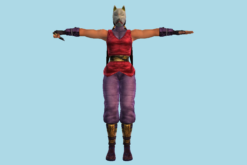 Tekken Kunimitsu Tag Tournament 3d model