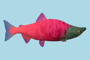 Fish Benizake-Fish