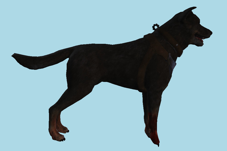 Injured Dog 3d model