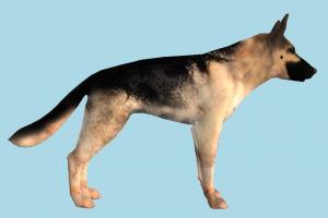 Dog German-Shepard-Dog