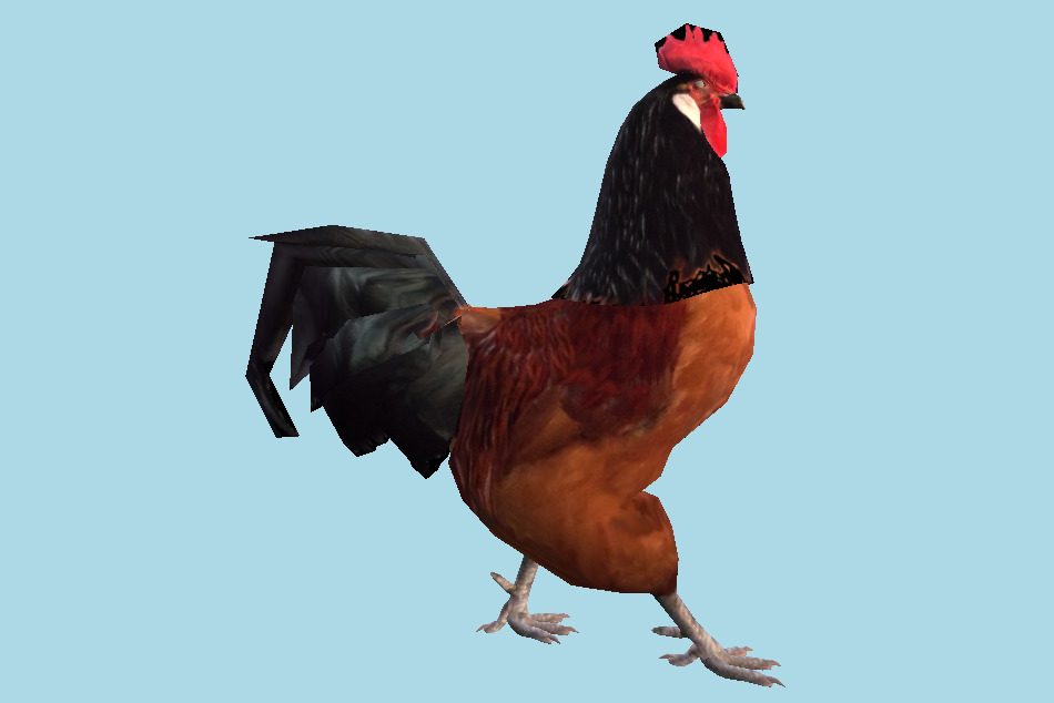 Rooster 3d model