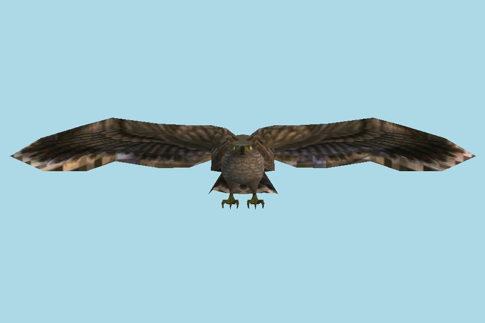 Hawk 3d model
