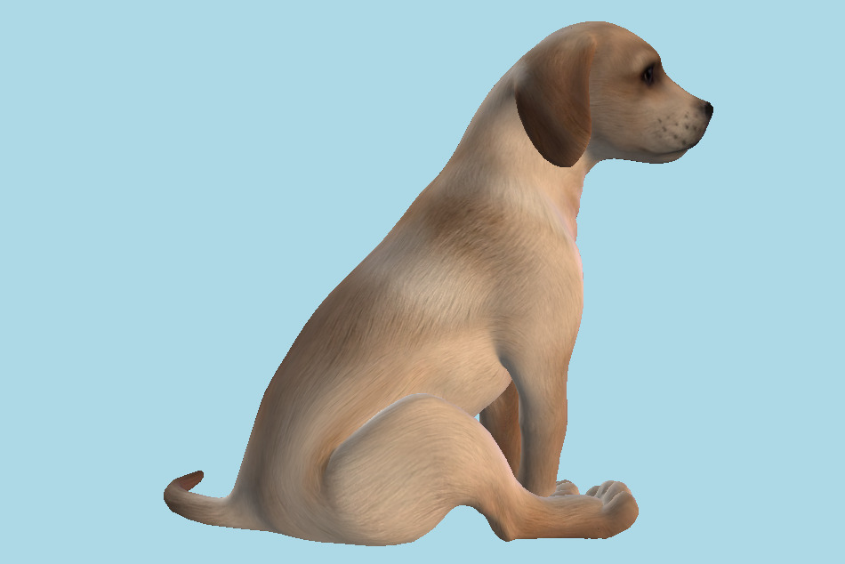 Dog Sitting 3d model