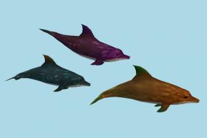 Dolphin dolphin, delfin, whale, shark, fish, sea-creature, fishing, sea, collection