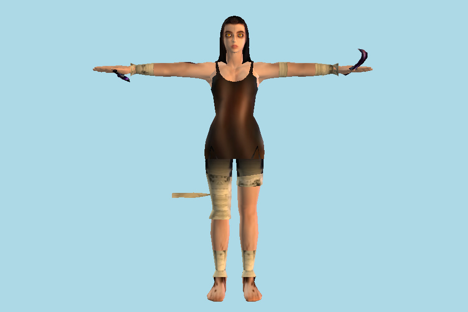 Tekken Unknown Tag Tournament 3d model