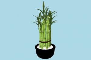 Plant plant, potted, vase, plants, grass
