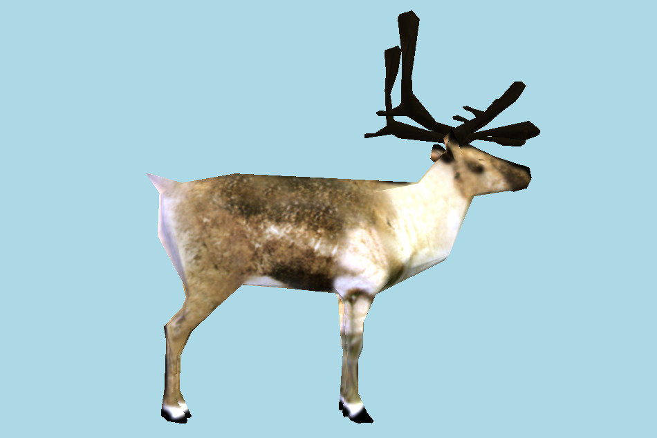 Deer 3d model