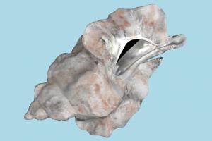 Sea Snail Conch snail, conch, shell, sea-creature, sea, ocean, scanned