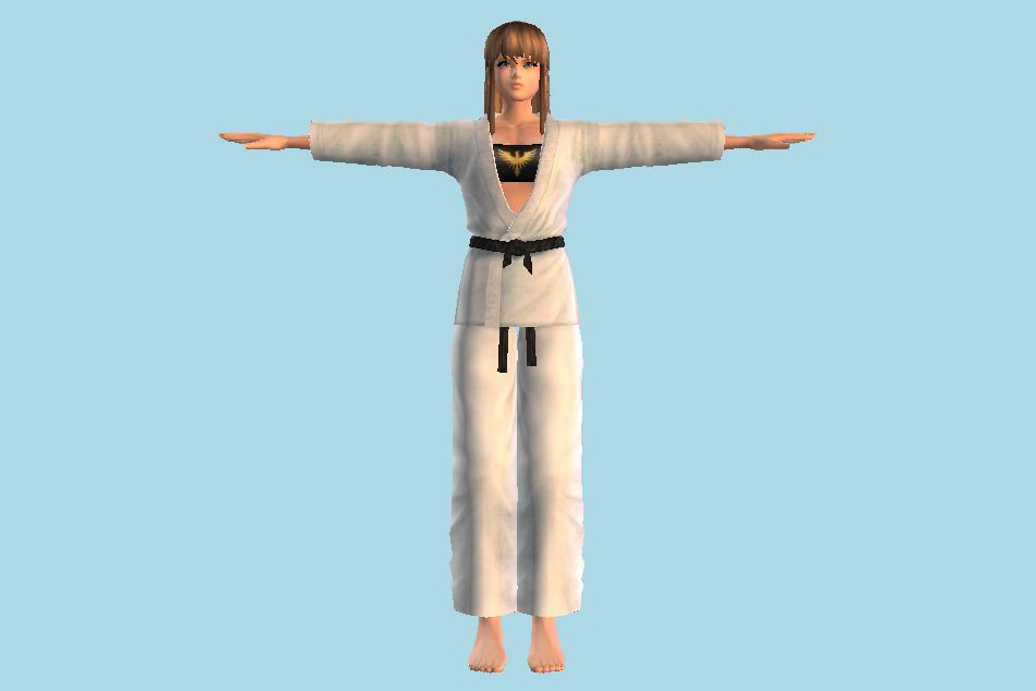DOA: Dimensions - Hitomi 3d model