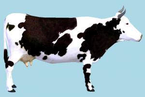 Cow cow, animal, animals, wild, nature, mammal, ruminant, farm, milk