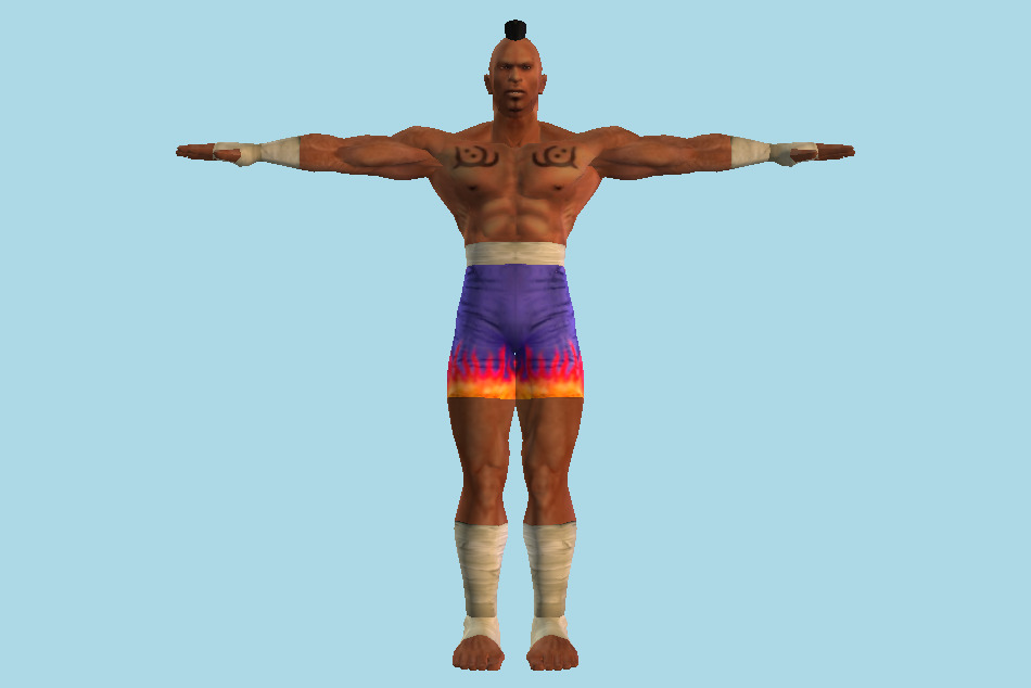 Tekken Bruce Tag Tournament 3d model