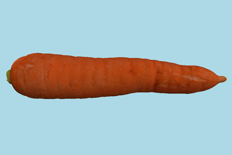 Carrot 3d model