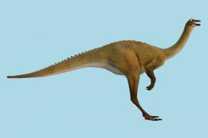 Dinosaur diplodocus, dinosaur, wild, nature, animal, animals, mammal, jungle