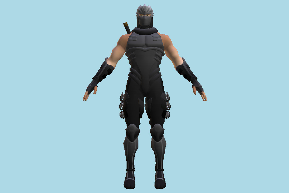 Yaiba Ninja Gaiden Z Ninja Ryu Hayabusa 3d model