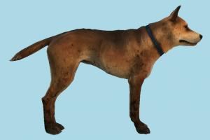 Dog dog, fox, wolf, animal, animals, wild, nature, cartoon