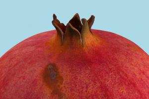 Pomegranate Pomegranate-2