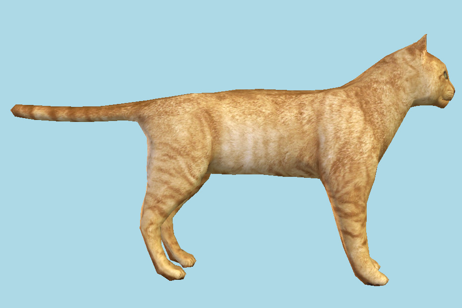 Cat 3d model