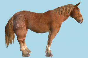 Horse horse, animal, animals, wild, nature, mammal, ruminant, zoology, africa, forest, jungle, predator, prey