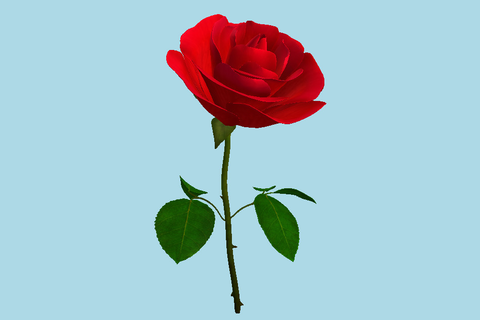 Rose 3d model