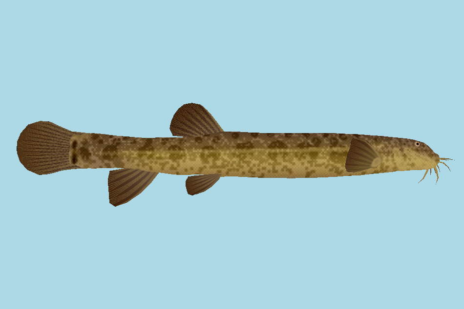 Fish 3d model