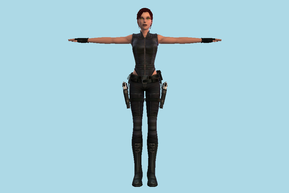 Tomb Raider Lara Croft 3d model