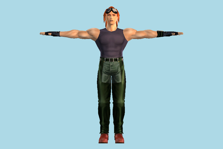 Tekken Hworang Tag Tournament 3d model