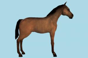 Horse Horse