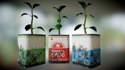 Plant Pot 5 plant-pot