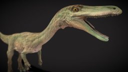 Ceoloyphysis paleontology, naturalhistory, jurassicworld, coelophysis, dinosaur, fossildiscovery, latetriassic, dinopioneer, ancientamerica, triassichunter, dinosociallife, prehistoricjourney