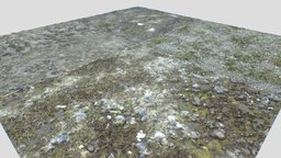 Dirt Terrain PBR Pack 11 Textures forest, terrain, rocks, mud, ground, wasteland, dirt, dirty, gravel, beach, soil, muddy, puddles, pbr