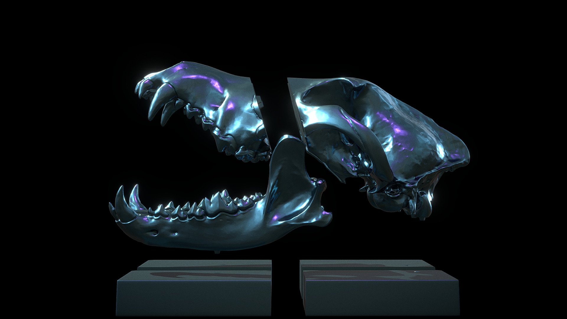 Wolf skull decorative with cuts and joints.

Highpoly

Made in zbrush

Let me know if you have any requests.

Enjoy! - Deco_Skull - 3D printing - Buy Royalty Free 3D model by Omassyx 3d model