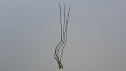 Seaweed 2 substancepainter, substance