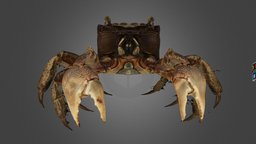 クロベンケイガニ 🦀 ♂ Black Benkei Crab, C. dehaani crab, crustacean, shellfish, arthropoda, crustacea, animalia, ffishasia, chiromantes, dehaani, decapoda, noai, sesarmidae