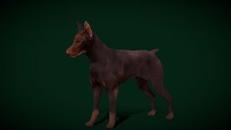 Dobermann Pinscher Dog Breed (Game Ready)