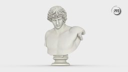 Buste de l’Antinoüs dit dEcouen noai