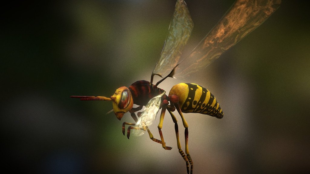 Hornet, PC Game character

&ldquo;The Turkey of Christmas Past