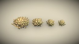 Space Bush 3 grass, plants, bush