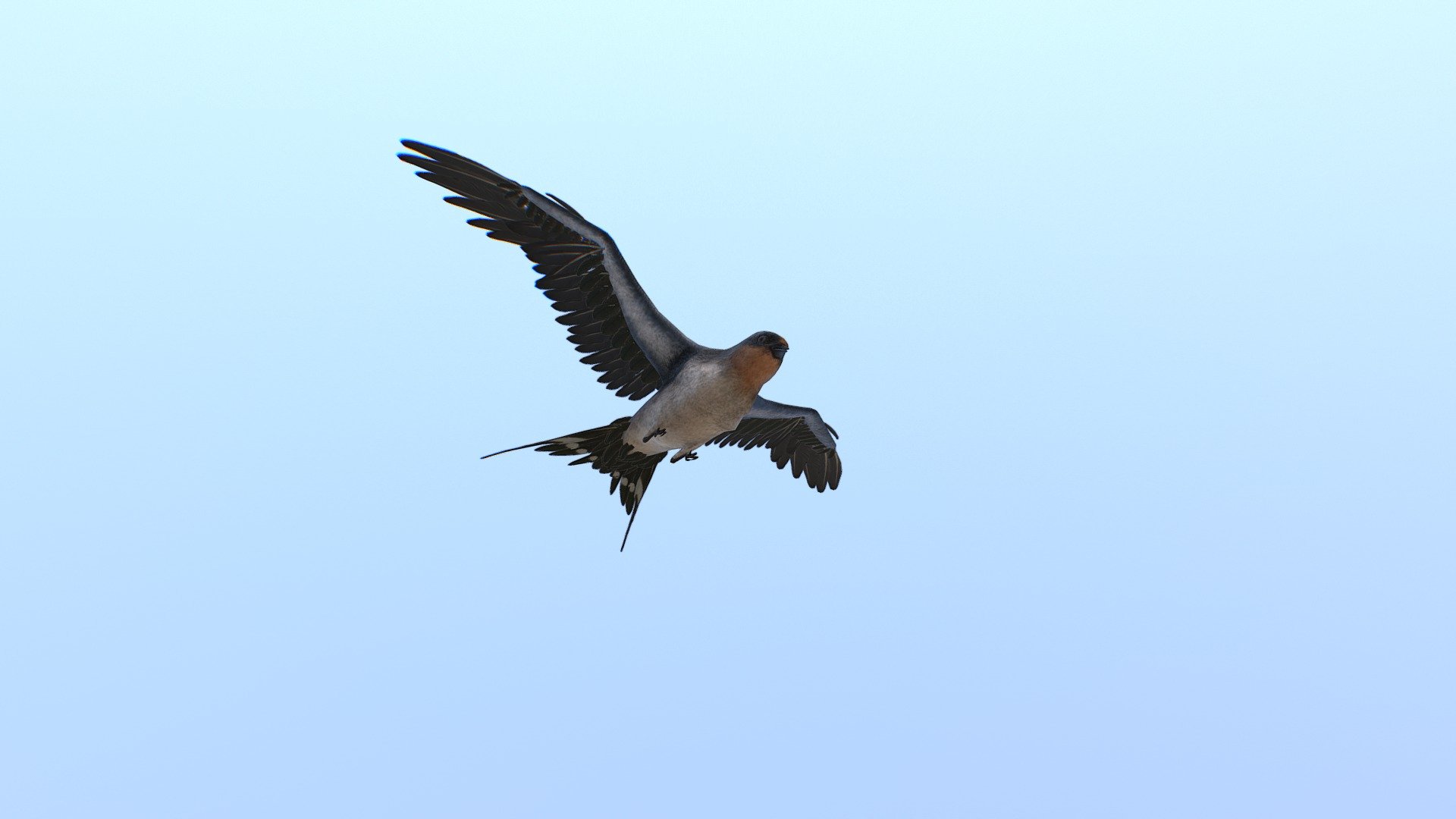 Real time swallow for a VR project - Real time swallow for a VR project - 3D model by Steff (@stefanocritelli) 3d model