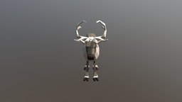 Rein D reindeer, cartoon, lowpoly, animal
