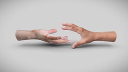 Female Hands hands, anatomy-human, female-hand, 3dscan, hand, female-hands, anatomy-hand