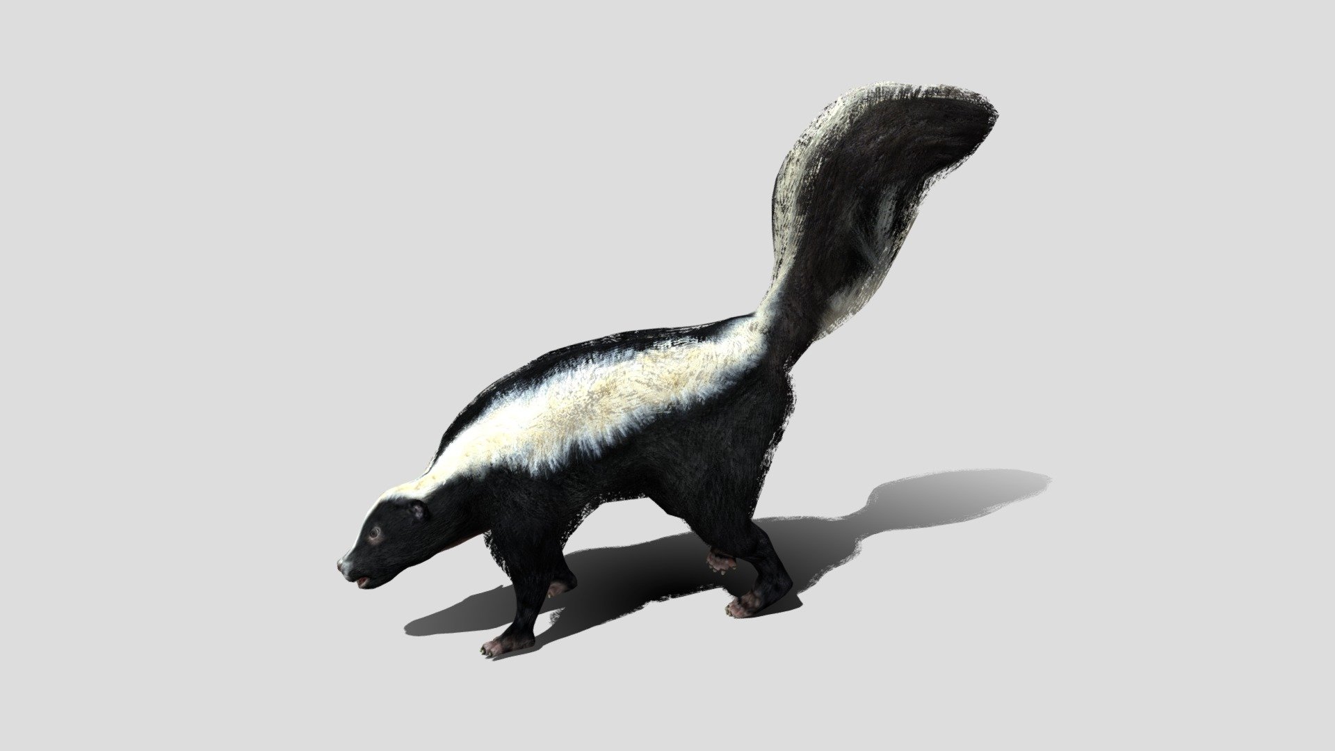 , I encourage you to like the model :) I will have the desire to make more animals 3d model