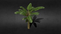 Tree Banana uv, unreal, banana, jobs, game, blender, texture